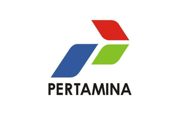 Partner 1